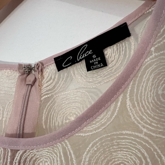 Light pink lace overlay dress from Modcloth, women’s size small - Picture 4 of 5